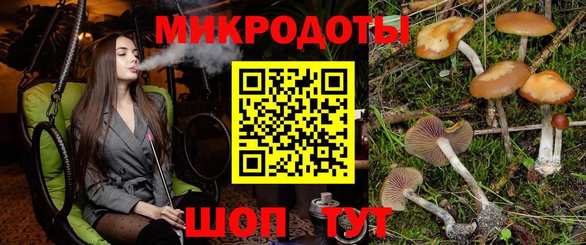 Галлюциногенные грибы мицелий Чапаевск