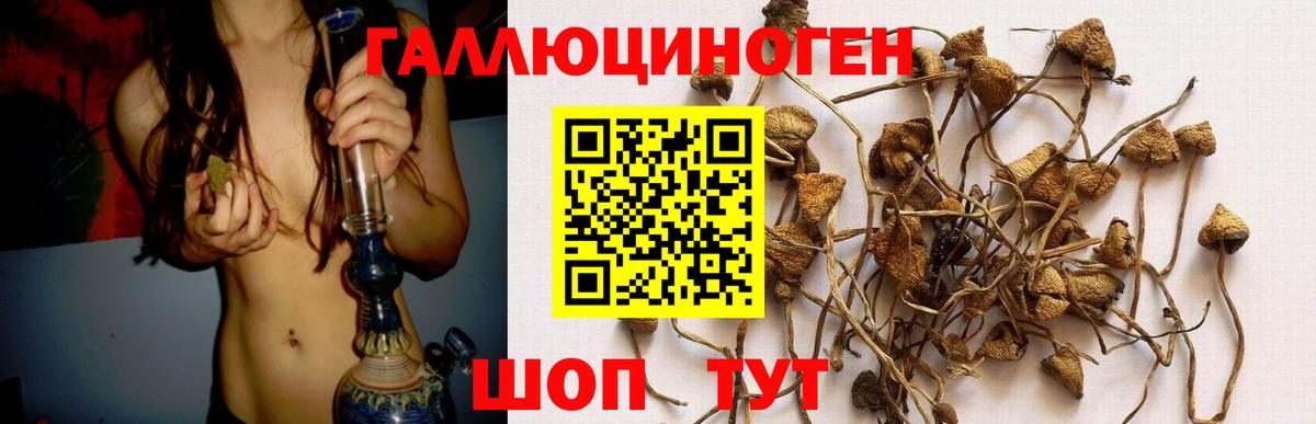 Чапаевск  Псилоцибиновые грибы мицелий  Вход с VPN 
